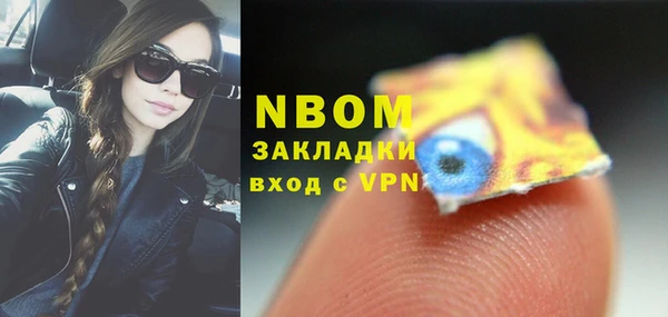 индика Алексин