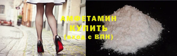 индика Алексин