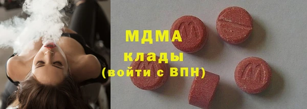 индика Алексин