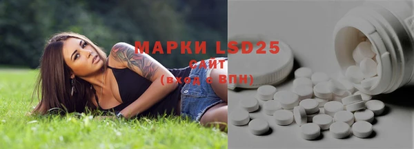 круглые Алзамай