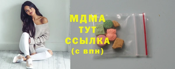 индика Алексин