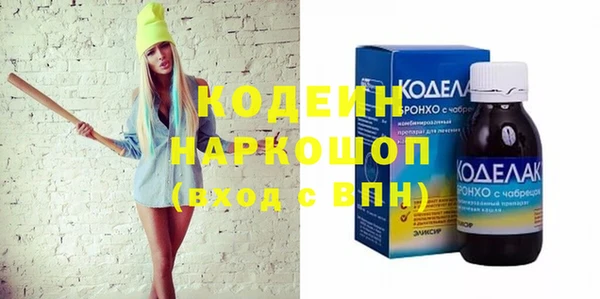 индика Алексин