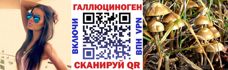 цена   Кропоткин  Псилоцибиновые грибы Magic Shrooms 
