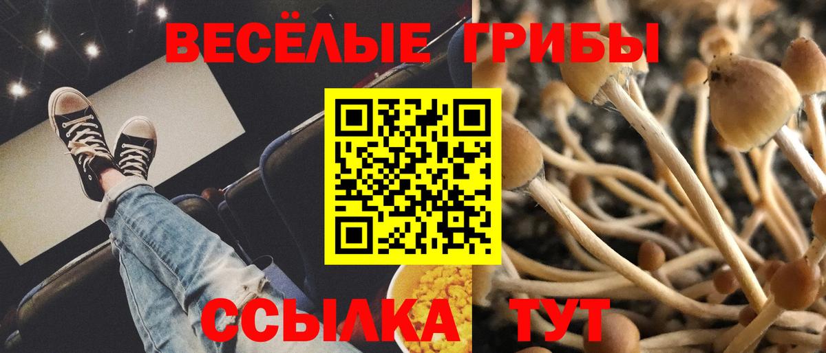 Галлюциногенные грибы прущие грибы  Вход с VPN  Кропоткин  Псилоцибиновые грибы мицелий 